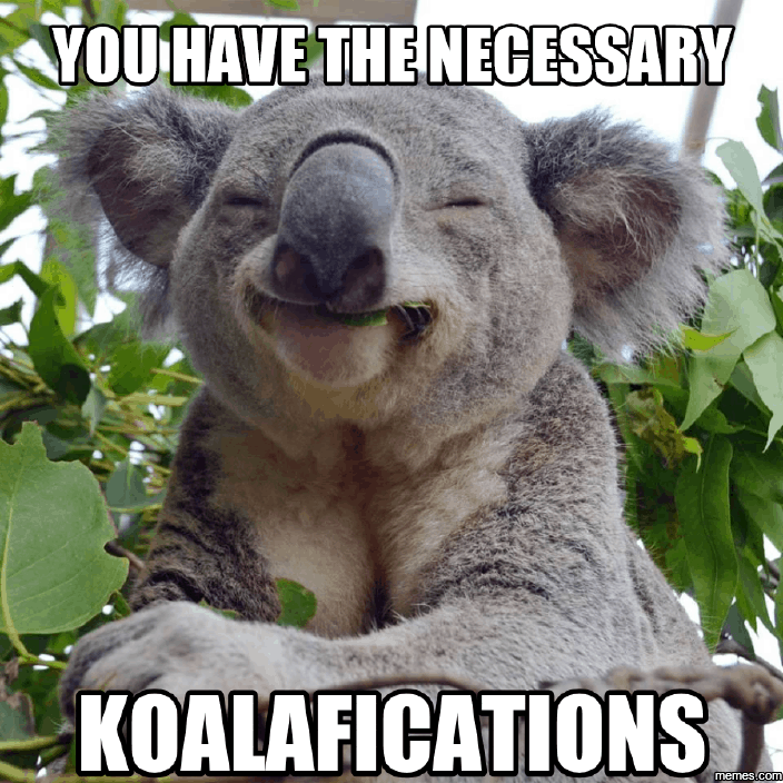 Bild mit einem lächelnden Koala und Bildunterschrift haben Sie die richtigen Koalafications und kreative Möglichkeiten, Mitarbeiter zu rekrutieren