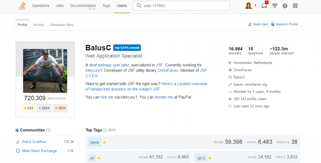 Stack Overflow profile view