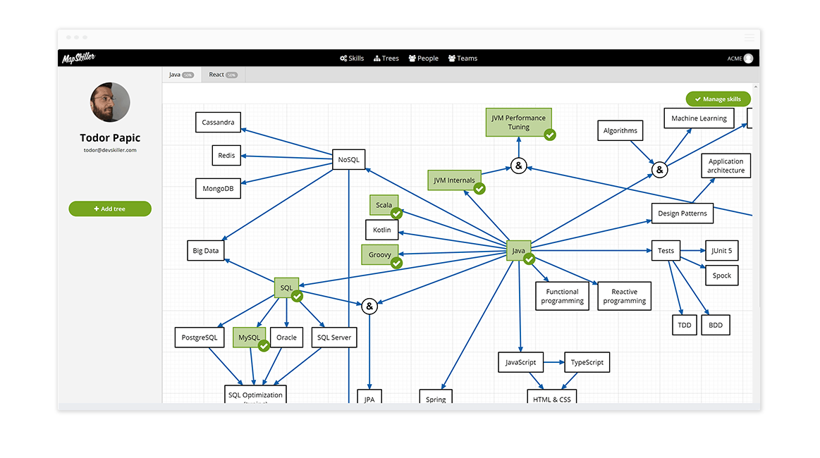 Skill mapping. Карта изучения React. Skills карта. JAVASCRIPT дерево изучения. Дерево обучения java.