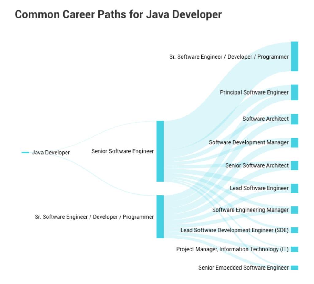A Java developer salary: common career paths