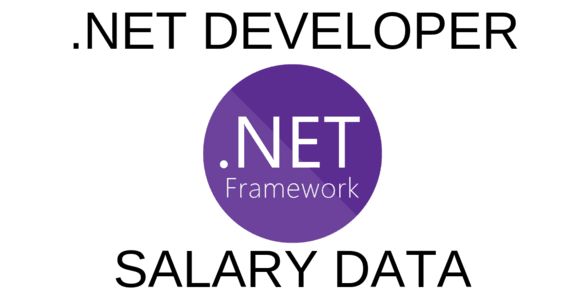 Dot NET Developer Programmer Salary From Junior To Senior Level