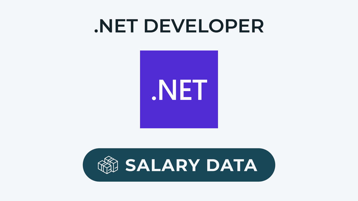 Dot NET Developer Programmer Salary From Junior To Senior Level