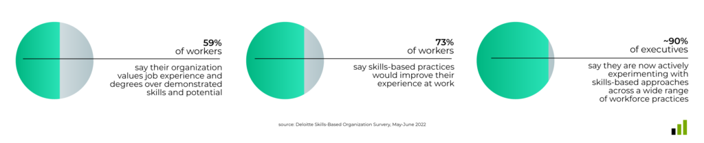 Deloitte Visual - DevSkiller Digital & IT Skills Report 2023