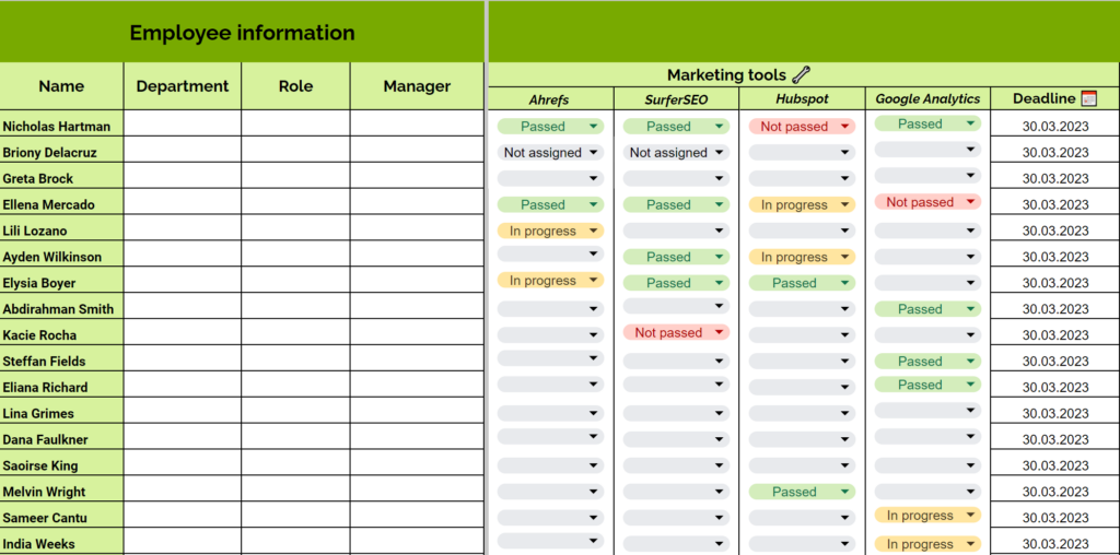 devskiller training matrix template