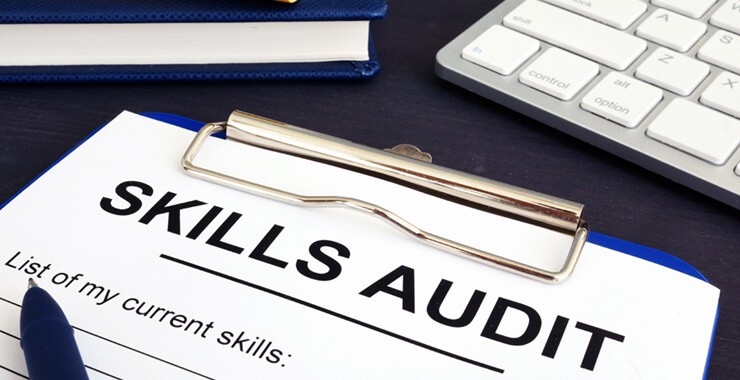 skills audit